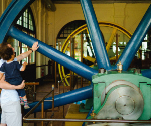 24 Dinosaurs Among Us