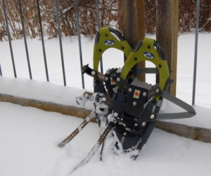 17 Snowshoeing and cross country skiing