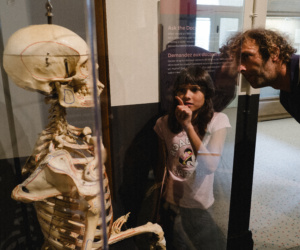 15 museum of healthcare