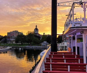 Cruises 1