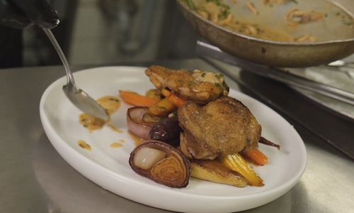 Aquaterra Food