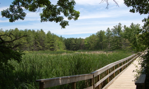 RS12476 Little Cataraqui Creek Conservation Area lpr