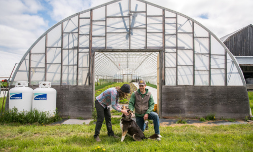 Megan Joslin and Ian Stutt with their dog Millie.
