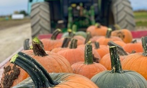 Fruition Berry Farm