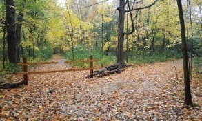 Lemoine Point