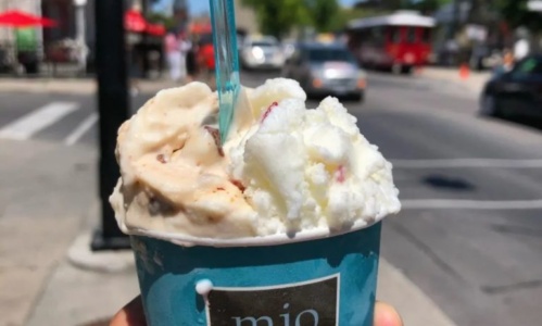 Mio Gelato 2