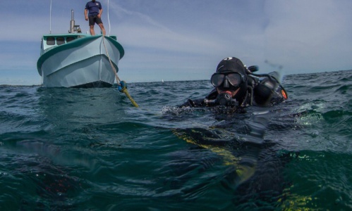 Neptune Salacia 4