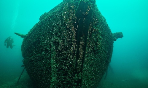 Neptune Salacia 5