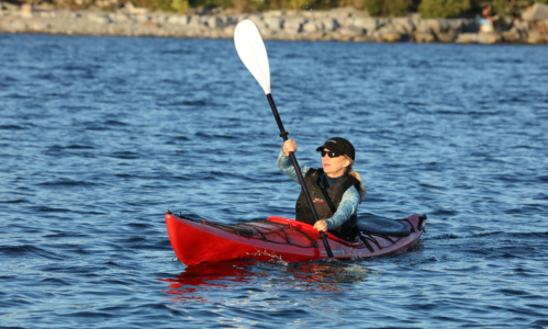RS17351 Ahoy Rentals paddleboarding kayak