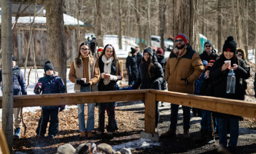 RS40263 IMG 5500 lpr