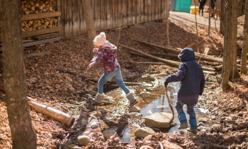 RS40610 maple madness 052 lpr