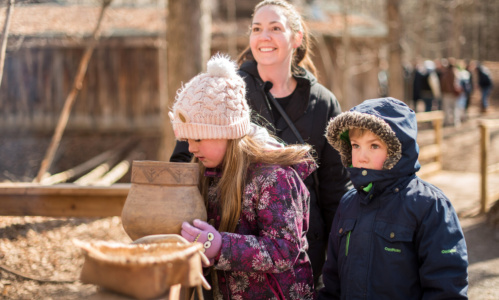 RS40623 maple madness 066 lpr