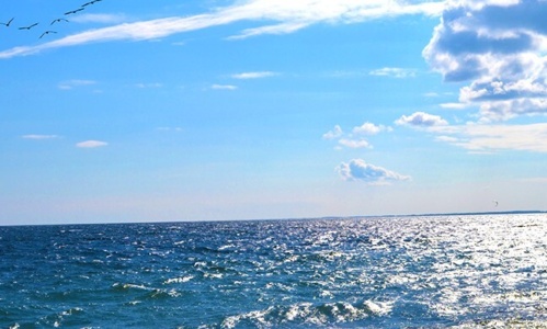 Waterfront 1