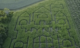 Wynn Farms