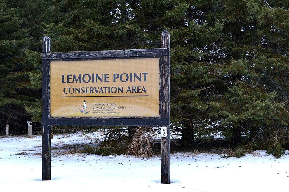 Kingston's Own Nature Gem: Lemoine Point