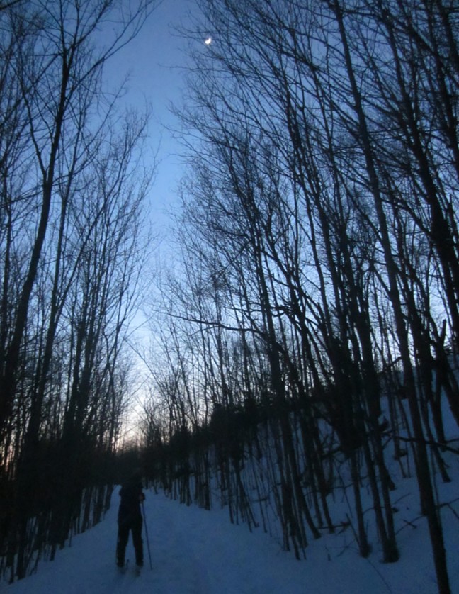 The moon above the treetops is a gentle reminder that it's time to head home.