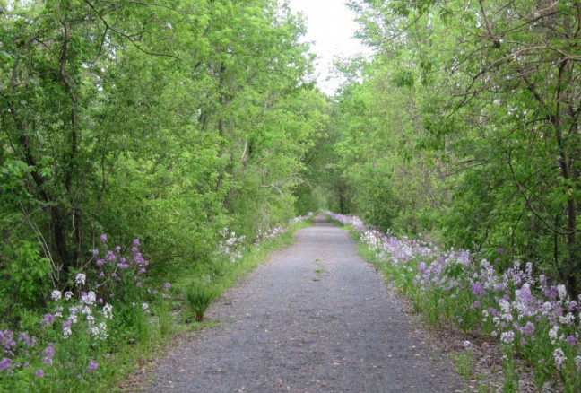 When all of this snow is just a memory, visitors can see trilliums and robins and finally, a host of purple flowers will line great stretches of the trail. CREDIT: Audy Tallack