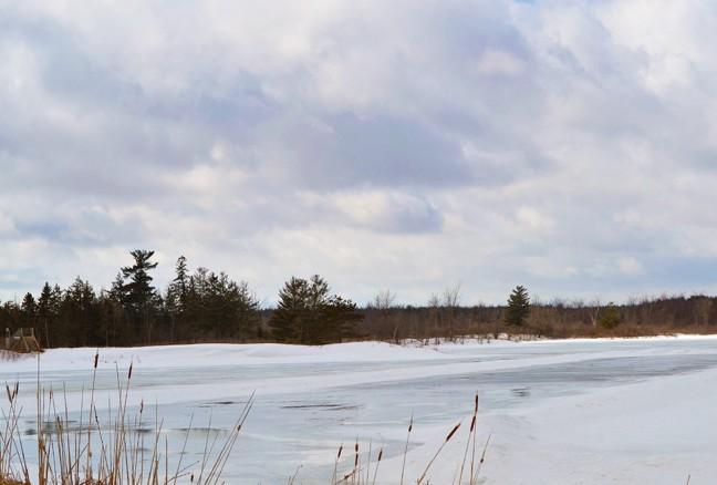 Wagon ride allows passengers to gaze out at the beauty of Little Cataraqui Creek Conservation Area.