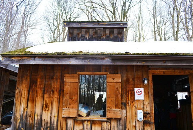 The glorious sugar shack with all things maple related within.