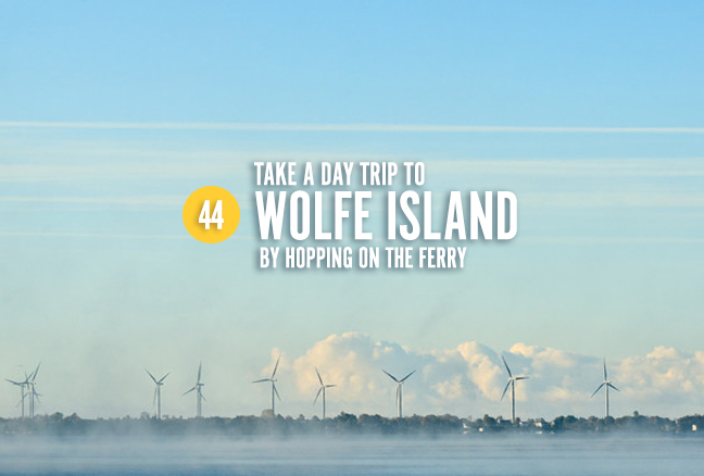 44_wolfeisland