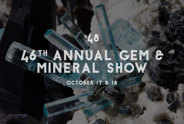 48_mineralshow