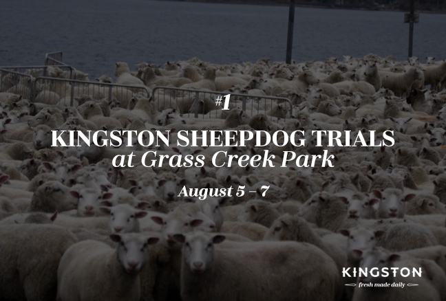 1. Kingston Sheepdog Trails