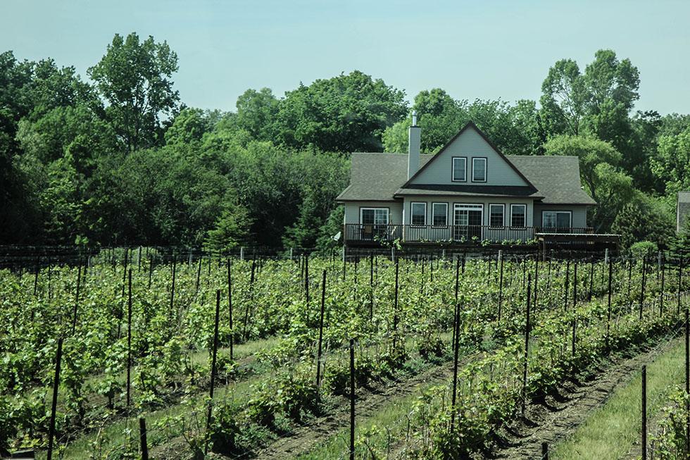 Summer Sips in The County