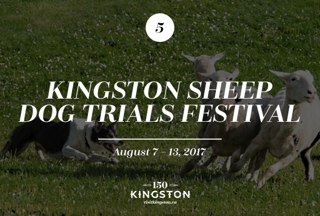 Kingston Sheep Dog Trials Festival - August 7-13