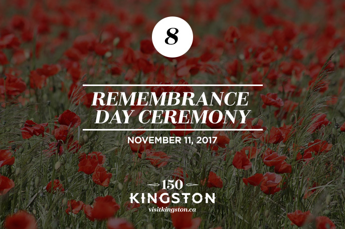 25 Things to do in November in Kingston