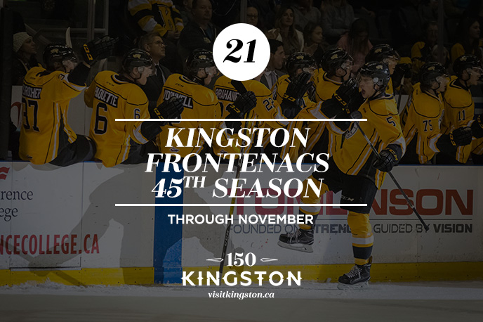 25 Things to do in November in Kingston