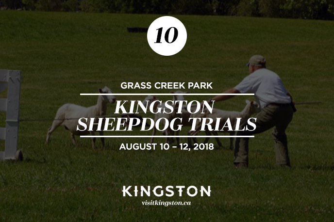 Kingston Sheepdog Trials at Grass Creek Park — August 10–12