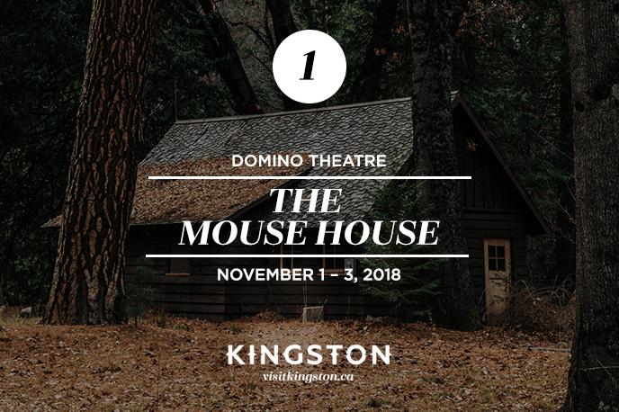 25 Things to Do This November in Kingston 2018