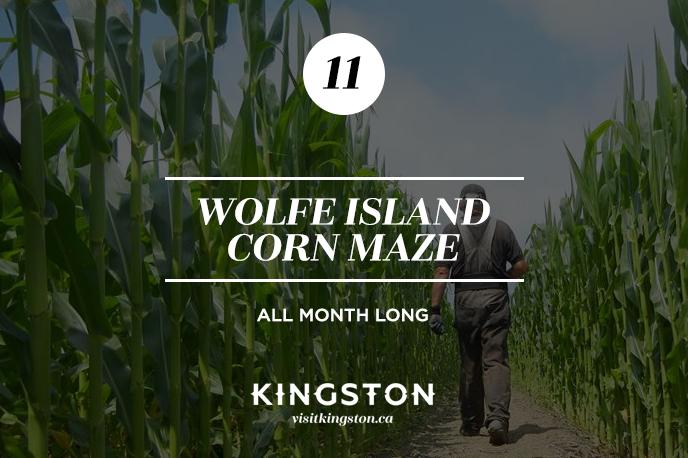 Wolfe Island Corn Maze