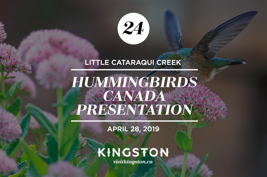 24. Little Cataraqui Creek: Hummingbirds Canada Presentation - April 28, 2019