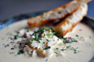Dianne's Chowder Dianne's Chowder