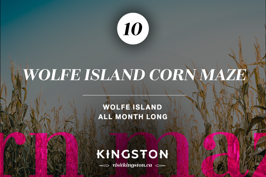 Wolfe Island Corn Maze — All Month Long