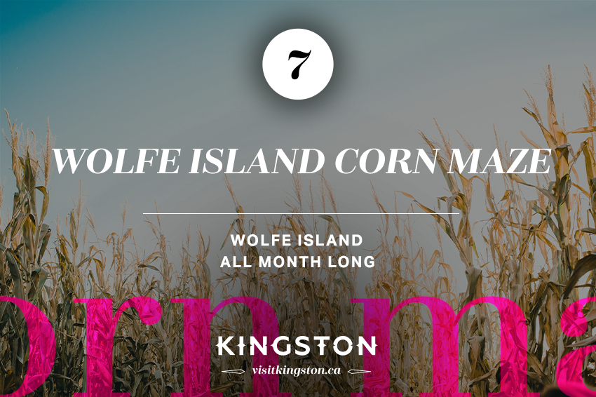 Wolfe Island Corn Maze — All month long