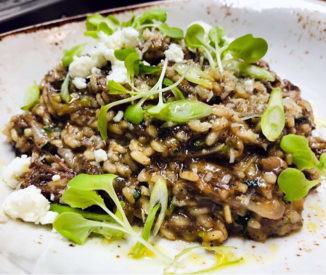 Braised short rib risotto