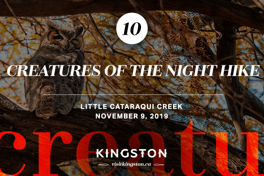 Creatures of the Night Hike at Little Cataraqui Creek— November 9, 2019