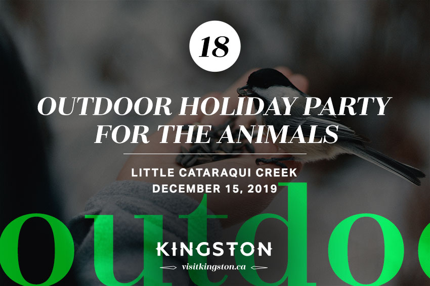 Outdoor Holiday Party for the Animals: Little Cataraqui Creek - December 15, 2019