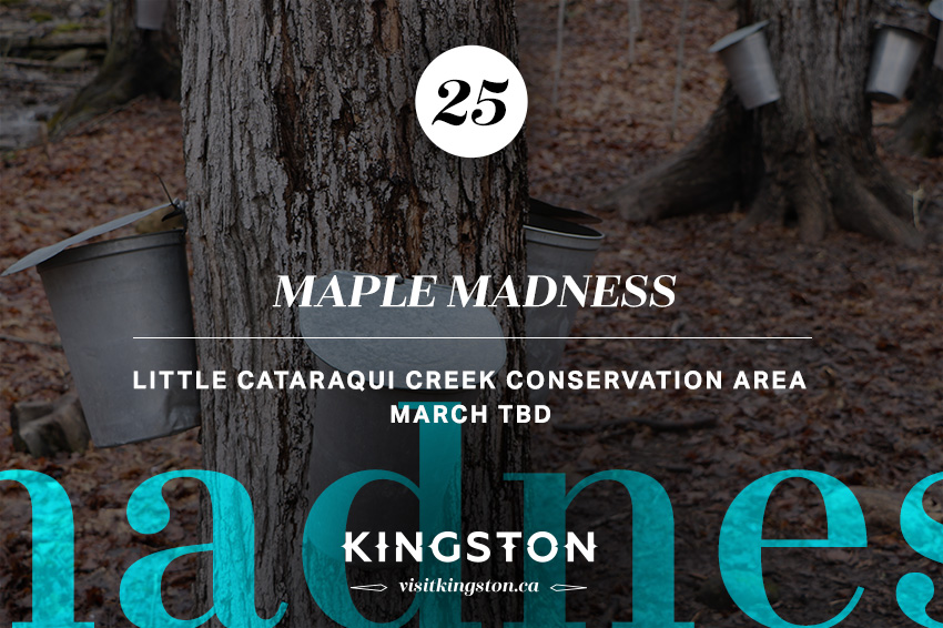 25. Maple Madness: Little Cataraqui Creek Conservation Area — March dates to be announced