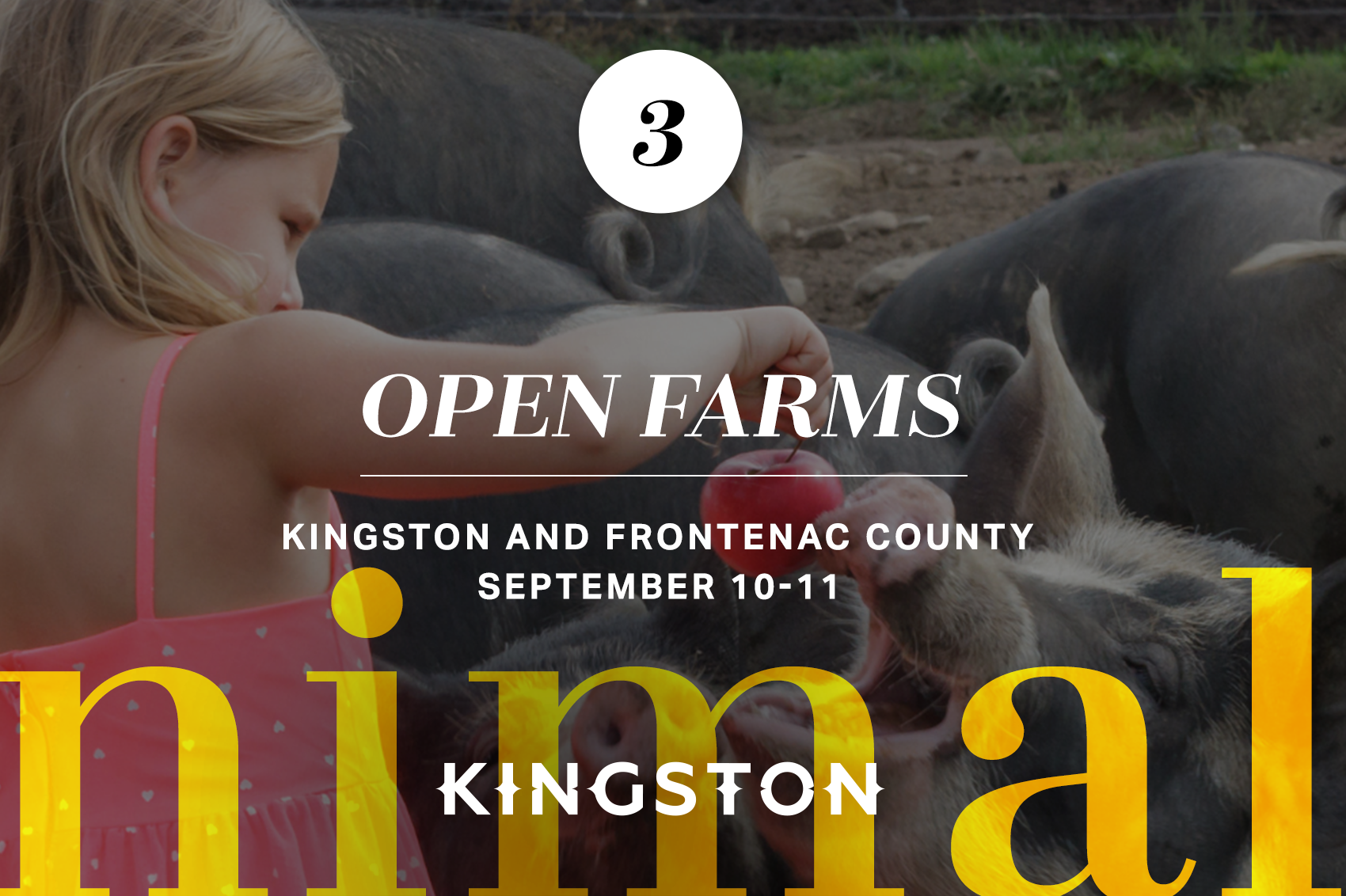 3. Open Farms: Kingston and Frontenac County September 10-11