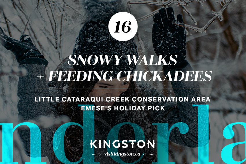 Snowy walks + feeding chickadees
