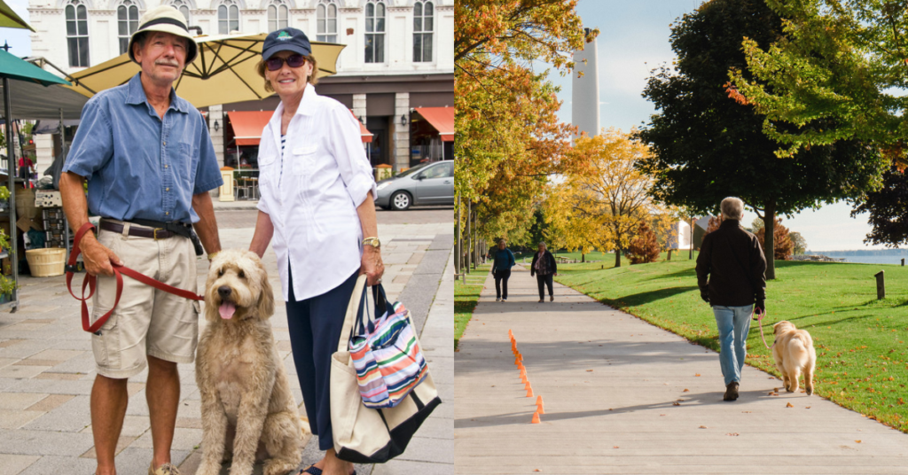 pet friendly Visit Kingston