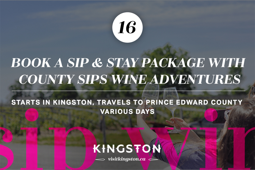 Book a sip & stay package with County Sips Wine Adventures
