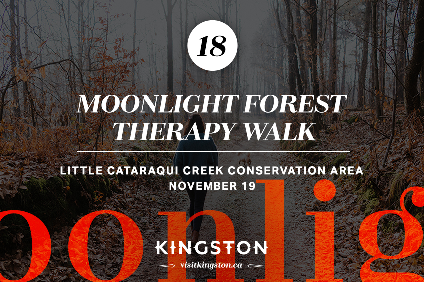 Moonlight Forest Therapy Walk