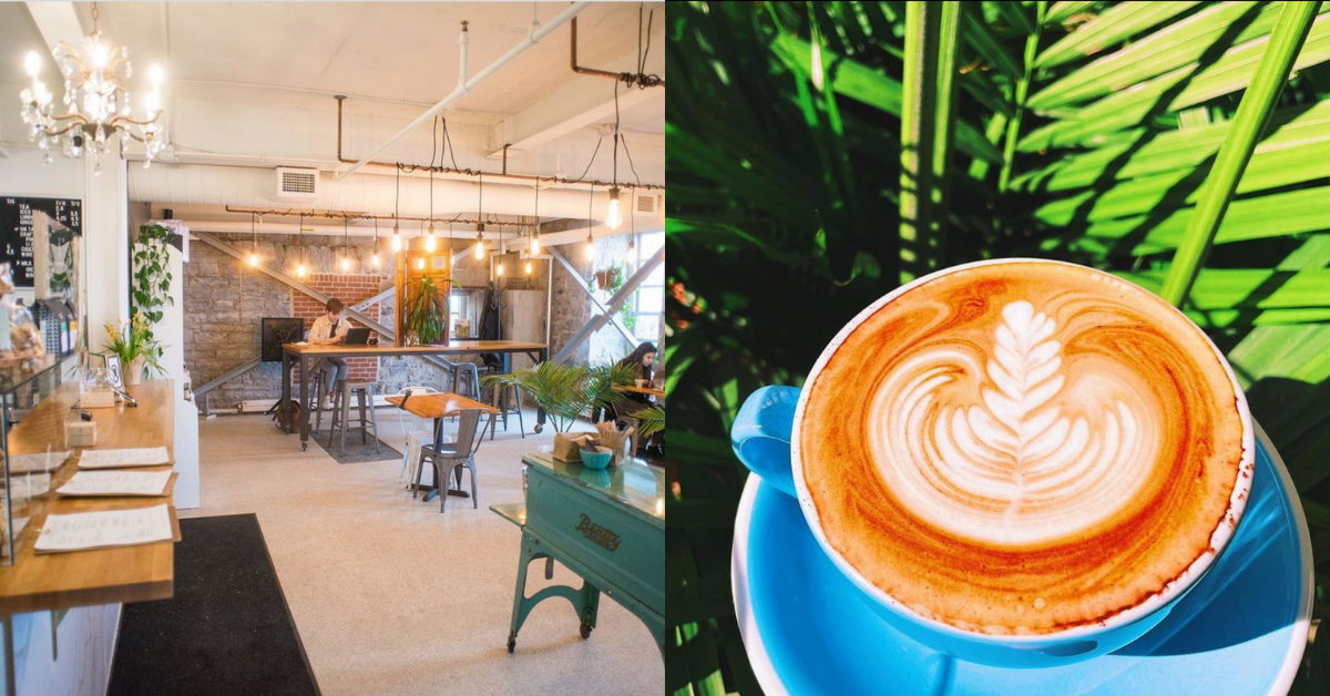 Staying caffeinated with downtown Kingston cafés Visit Kingston