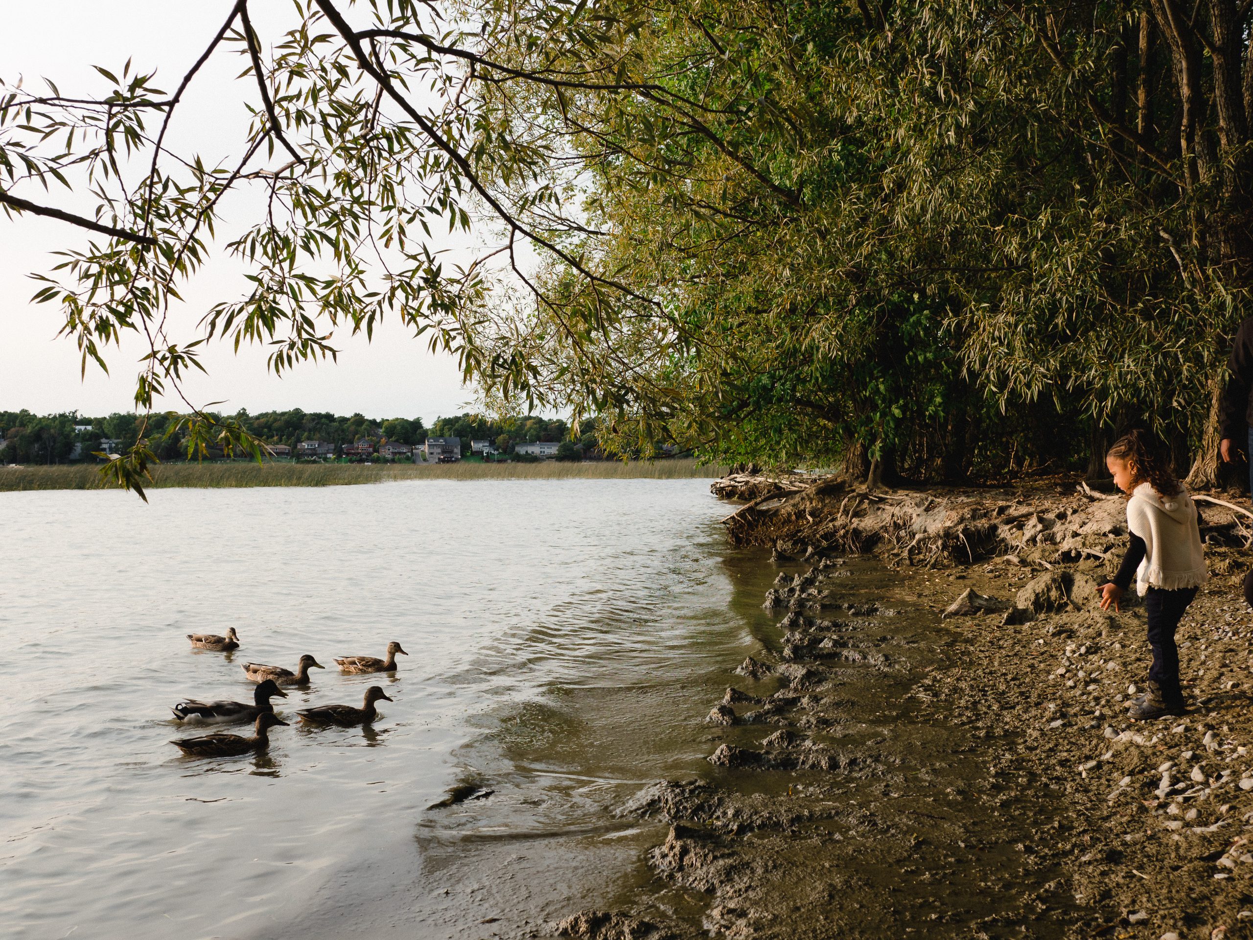 Lemoine Point Conservation Area