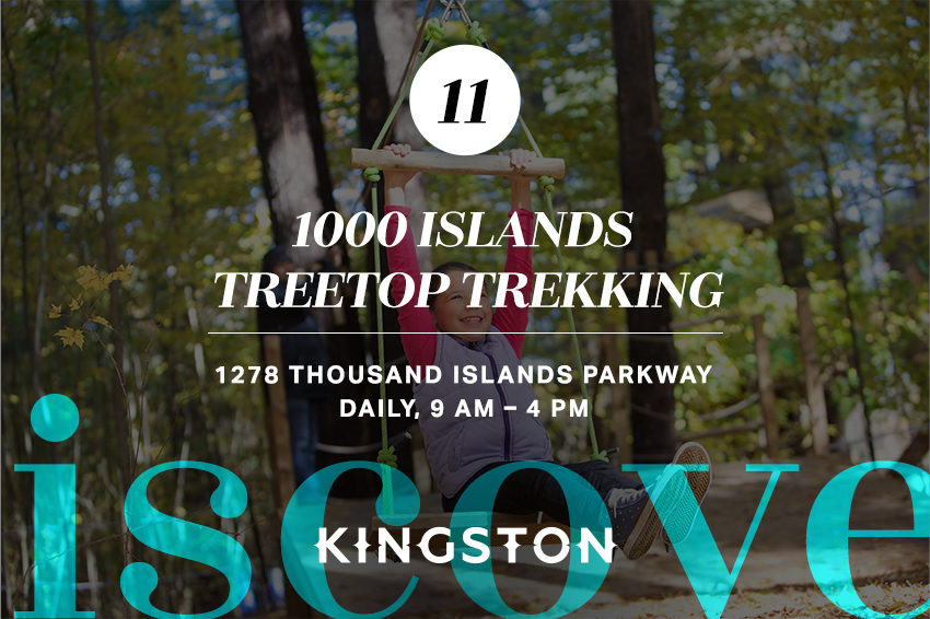 1000 Islands Treetop Trekking