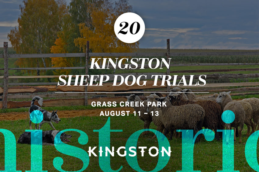 Kingston Sheep Dog Trials